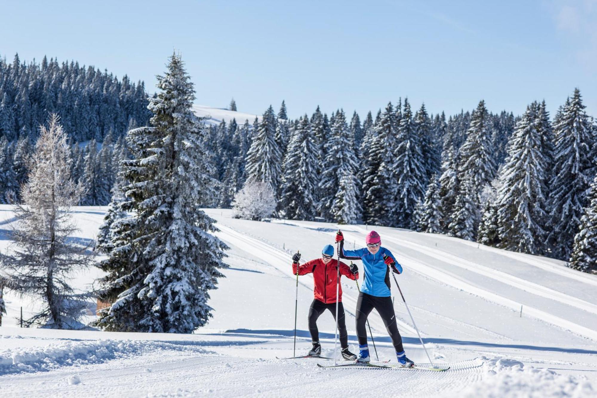 Ferienwohnung Schneelehner, 2-Schlafzimmer, Feldberg Feldberg  Bagian luar foto